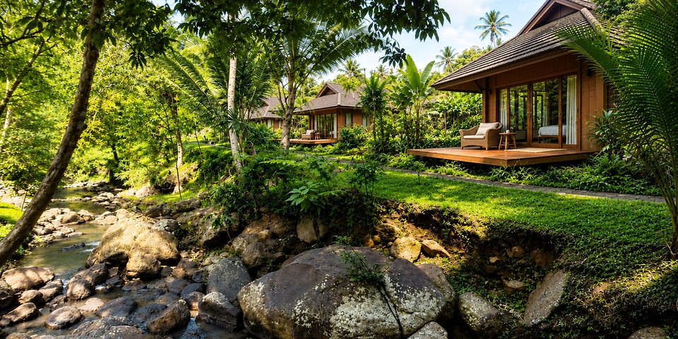 Development concept illustration: timber house by a stream in tropical garden