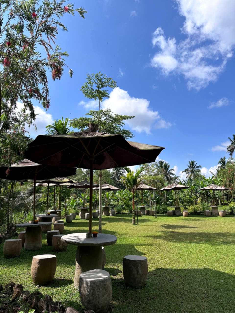 Garden with outdoor seating and umbrellas on the lawn